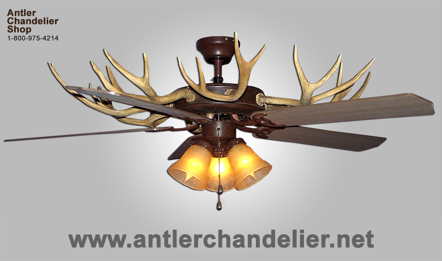 Real Antler Whitetail Mule Deer Ceiling Fan 3 Lights Acs Lamps