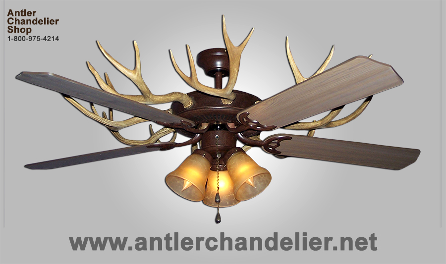 Real Antler Whitetail Mule Deer Ceiling Fan 3 Lights Acs Lamps