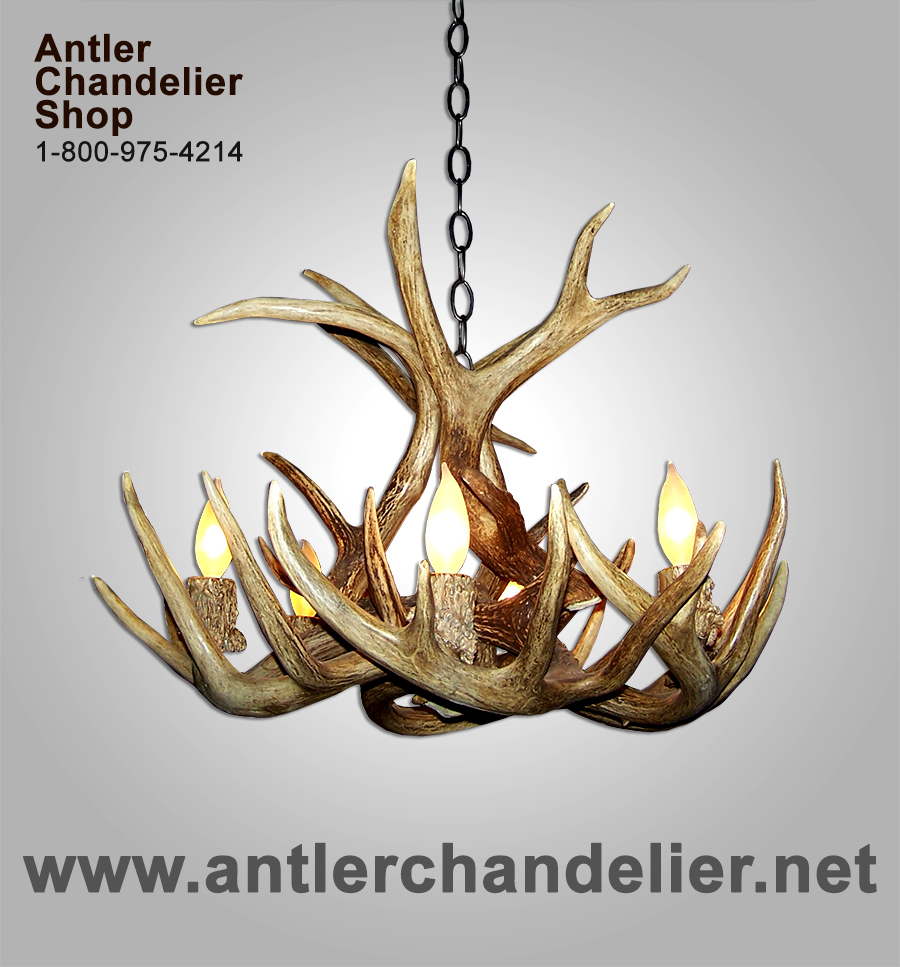 Details About Real Antler Whitetail Single Tier Deer Chandelier Rustic Lights 6 8lamps Wtr 1